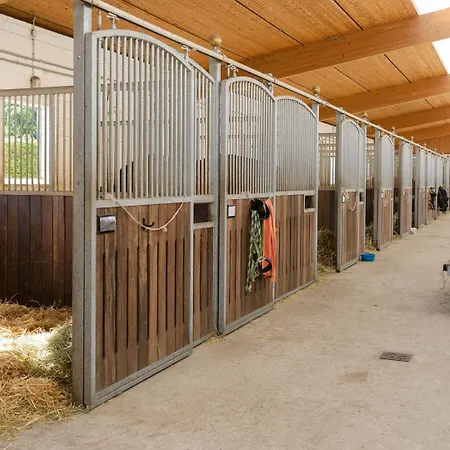 Ferienhaus Mit Terrasse, Cleaning Included *